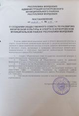 Постановление о создании общественного совета по развитию физ.культуры и спорта